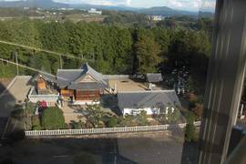 タワー上からの景色の写真。そばの加茂神社もよく見えます