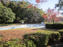 夏休み期間にオープンする徒渉池の写真。浅く小さな子どもでも楽しめる水遊び場
