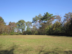 公園中央に位置する展望ひろばの写真。芝が植えられ木々に囲まれたた広場