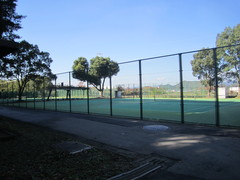 テニスコートの写真。レンタルテニスコートは北側駐車場横にあります