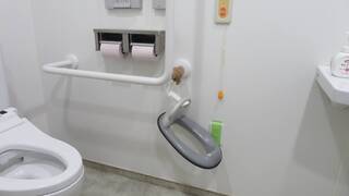 小児用便座の写真。車いすマークトイレ内にあります