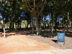 リバポの森の写真。通路奥はイベントができる広場になっています