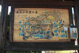 芝生広場の公園案内図の写真。桜の名所、パンフレットもあります