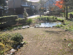 公園内の写真。池があり散策も出来ます