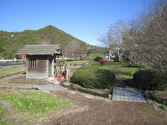 公園内の写真。花菖蒲や桜が植えられ季節ごとの景観が楽しめます
