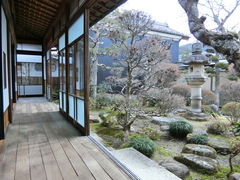 中庭の写真。勝川家のほぼ中心に位置する中庭です