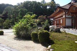 本堂前の庭の写真。手入れが行き届いた日本庭園の景観は美しく心が落ち着きます。