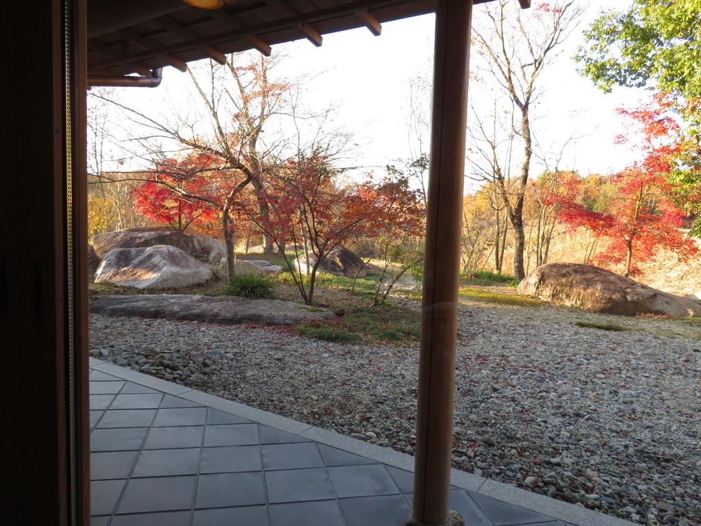 日本庭園を眺め和菓子をゆったりと楽しむの写真