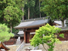 拝殿への神門の写真。階段を上り神門をくぐると、八幡宮の拝殿と本殿です。