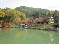 五阿弥池と合掌造り家屋の写真。紅葉のシーズンの五阿弥池とそこに佇む合掌造り家屋（旧西岡家）です。