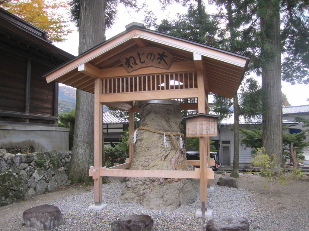 ねじの木の写真