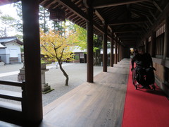 拝殿へのルートの写真。回廊には絨毯が敷かれています