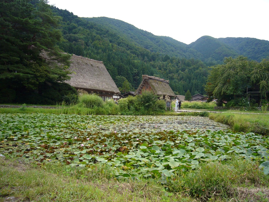 荻町合掌造り集落には懐かしい日本の原風景が広がっていますの写真