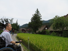 合掌造り家屋と田んぼの稲穂の写真。合掌造りと田んぼの稲穂、遠い昔にタイムスリップしたような気分になります。