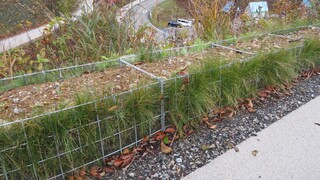 展望台へのスロープのガードの写真。安全と環境にも配慮