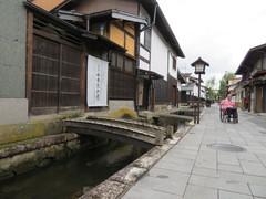 瀬戸川沿いの写真。道路は車いすでも通行しやすい舗装です