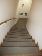 シアターホールへの階段の写真。手すりがあり、カーペット敷きの滑らない階段になっています