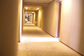 客室通路の写真。通路は広く車いすがすれ違えるだけの余裕があります
