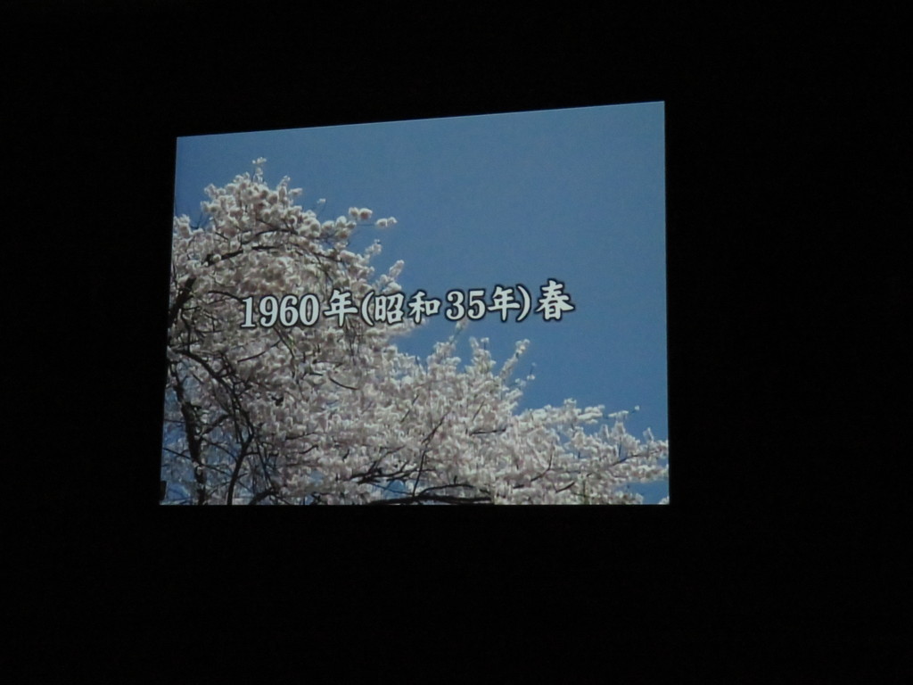 電力館内のシアターで荘川桜を紹介する映像が見られますの写真