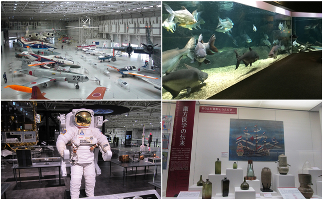 航空機、宇宙服、淡水魚、漢方伝来の写真